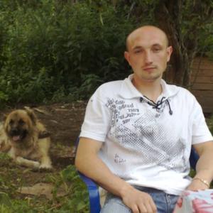 Александр, 43 года, Александров