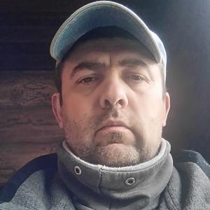 Дмитри Николаевич, 44 года, Смоленск