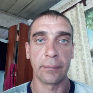 Николай, 41 год, Лысьва