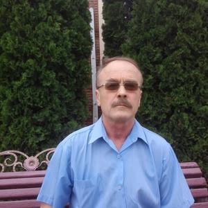 Парни в Армавире: Сергей Высоцкий, 62 - ищет девушку из Армавира