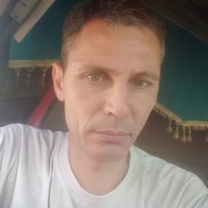 Евгений, 44 года, Усть-Илимск