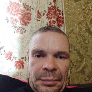 Николай, 45 лет, Великие Луки