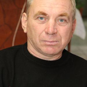Андрей Пономарёв, 64 года, Невьянск