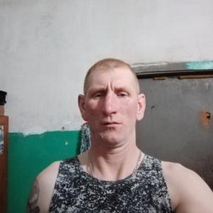 Сергей Панфилов, 39 лет, Новопетропавловка