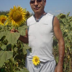 Олег, 61 год, Краснодар
