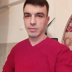 Дмитрий, 40 лет, Пересвет