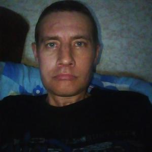 Дима, 43 года, Вологда