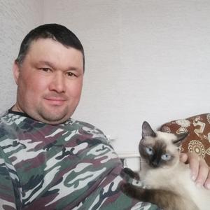 Рамиль, 40 лет, Тобольск