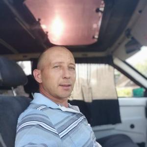 Рома, 41 год, Буденновск