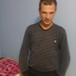 Andrej, 43 года, Ярославль
