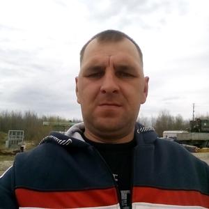 Василий, 41 год, Чайковский
