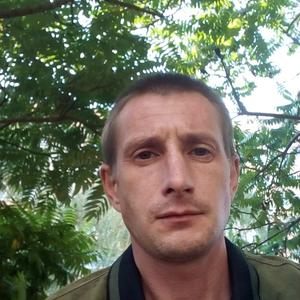 Алекс, 36 лет, Краснодар