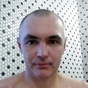 Сергей Серый, 47 лет, Новосибирск