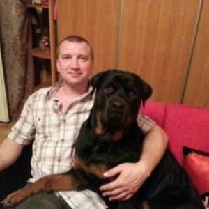 Парни в Пудоже: Тимофеев Андрей Николаевич, 46 - ищет девушку из Пудожа