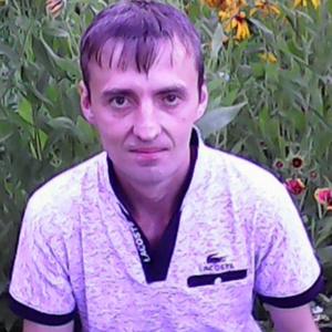 Алексей, 46 лет, Советск