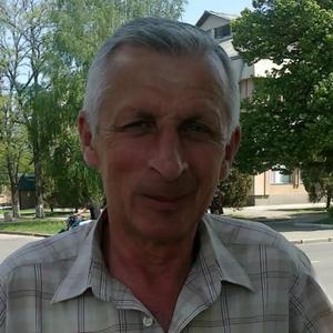Виктоор, 70 лет, Москва