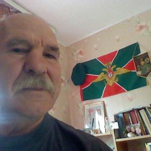 Сергей, 76 лет, Полевской