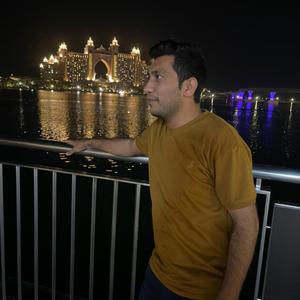 Shahid Mehmood, 35 лет, Дубаи