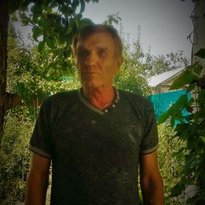 Анатолий Гаранин, 66 лет, Самара