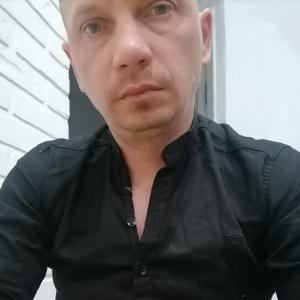 Алексей, 39 лет, Александров