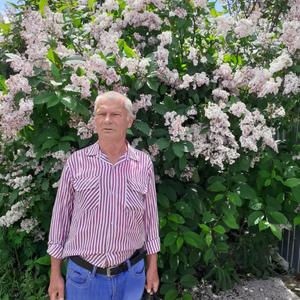 Парни в Новокручининске: Владимир, 71 - ищет девушку из Новокручининска
