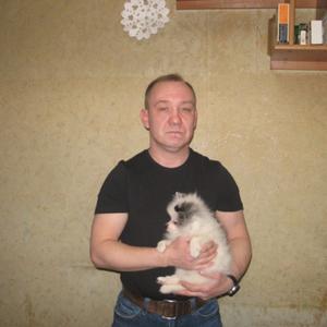 Парни в Электросталь: Денис Коломин, 49 - ищет девушку из Электросталь