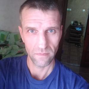 Андрей Курашкин, 47 лет, Выселки