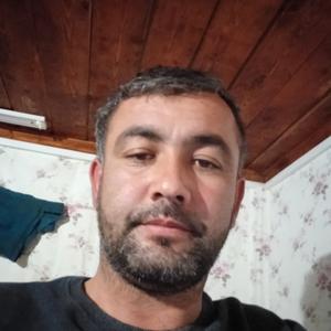 Шамсиддин Толибов, 32 года, Ростов-на-Дону