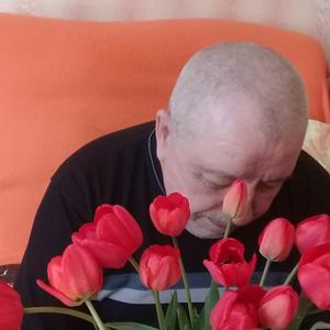 Борис Коновалов, 69 лет, Саратов