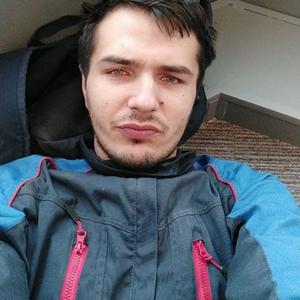 Дмитрий, 29 лет, Ивангород
