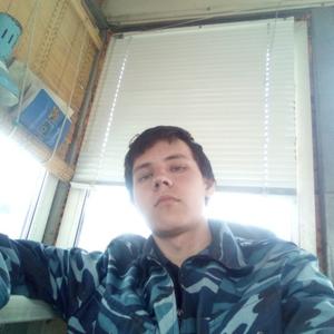 Камиль Мухамеджанов, 27 лет, Воронеж