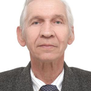 Михаил, 78 лет, Нижний Тагил
