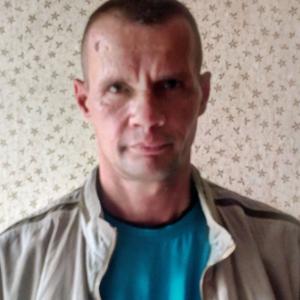 Эдуард Гусев, 46 лет, Иваново