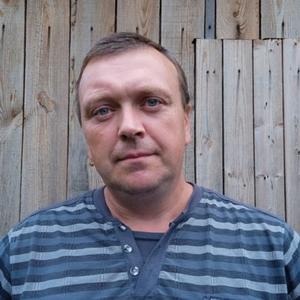 Андрей Воронцов, 47 лет, Владимирская
