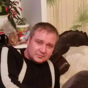 Алексей, 43 года, Александров