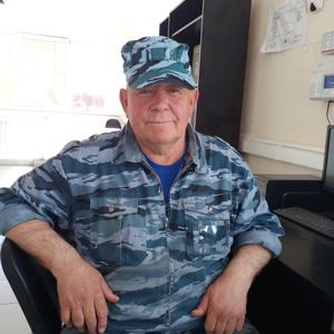 Василий, 67 лет, Гатчина