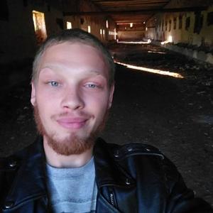 Парни в Сураже: Кирилл Белоус, 26 - ищет девушку из Суража