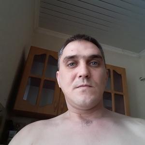 Дмитрий, 37 лет, Тула
