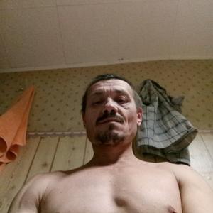 Виктор, 51 год, Красноуральск