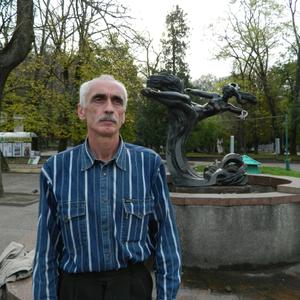 Виталий, 65 лет, Санкт-Петербург