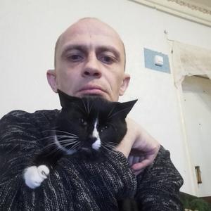 Парни в Бытошь: Сергей, 44 - ищет девушку из Бытошь