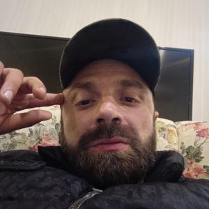 Роман, 36 лет, Краснодар
