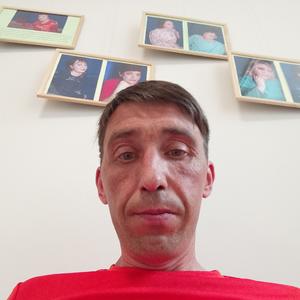 Ильдар, 40 лет, Пермь