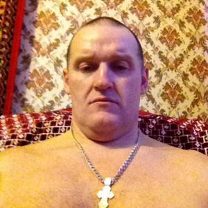 Aleksej, 54 года, Владимир