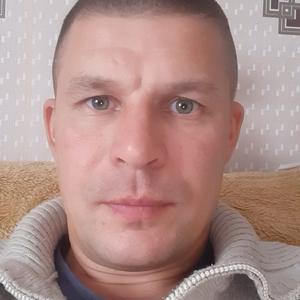 Владимир, 44 года, Гусев