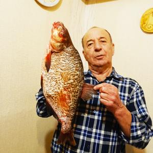 Парни в Новосибирске: Юрий, 72 - ищет девушку из Новосибирска