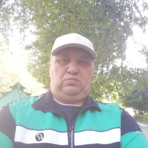 Олег, 53 года, Курск