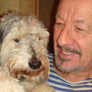 Олег Пинаев, 72 года, Воронеж