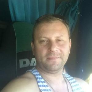 Александр, 42 года, Поварово