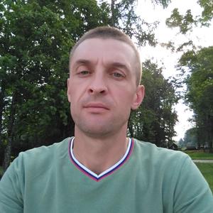Иван, 38 лет, Невель